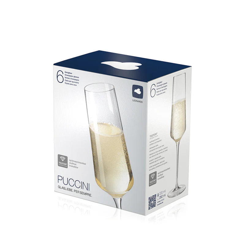 Set 6 Calici Champagne &