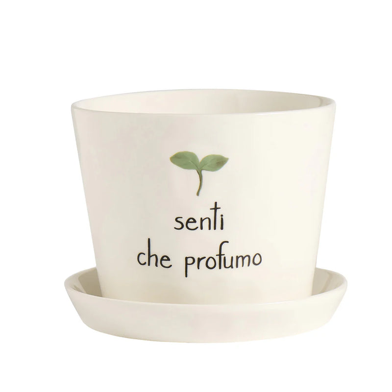 Vaso &