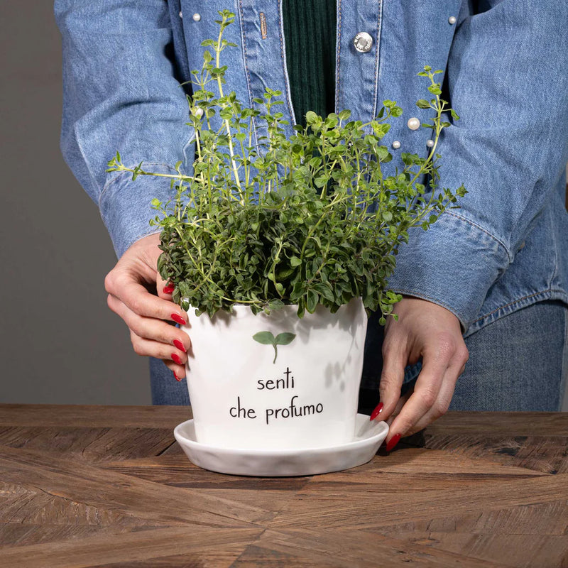 Vaso &