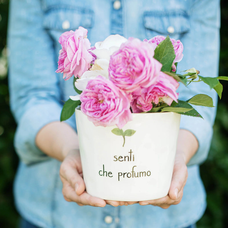 Vaso &