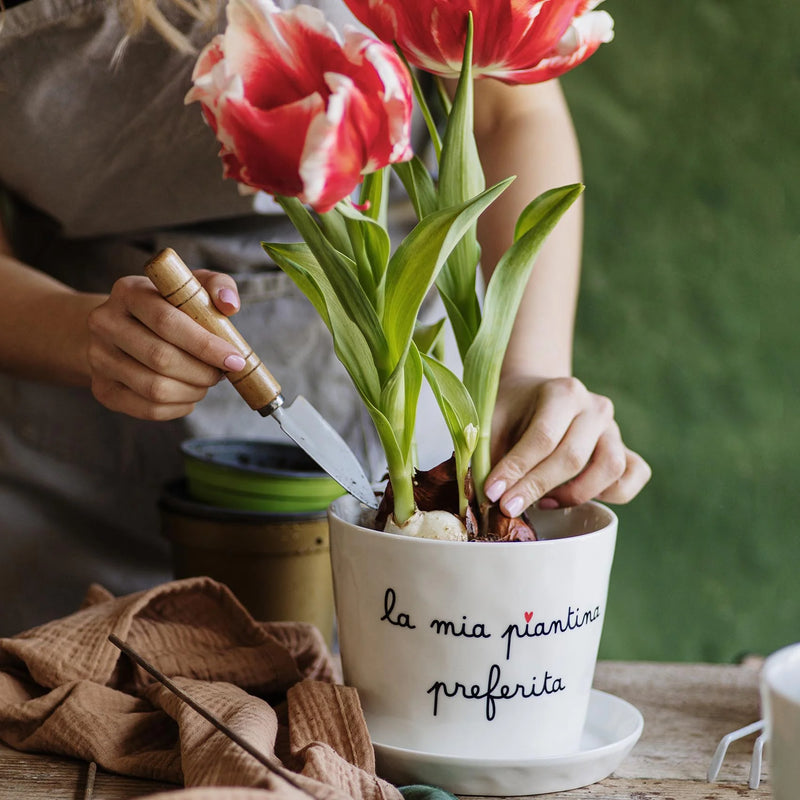 Vaso &