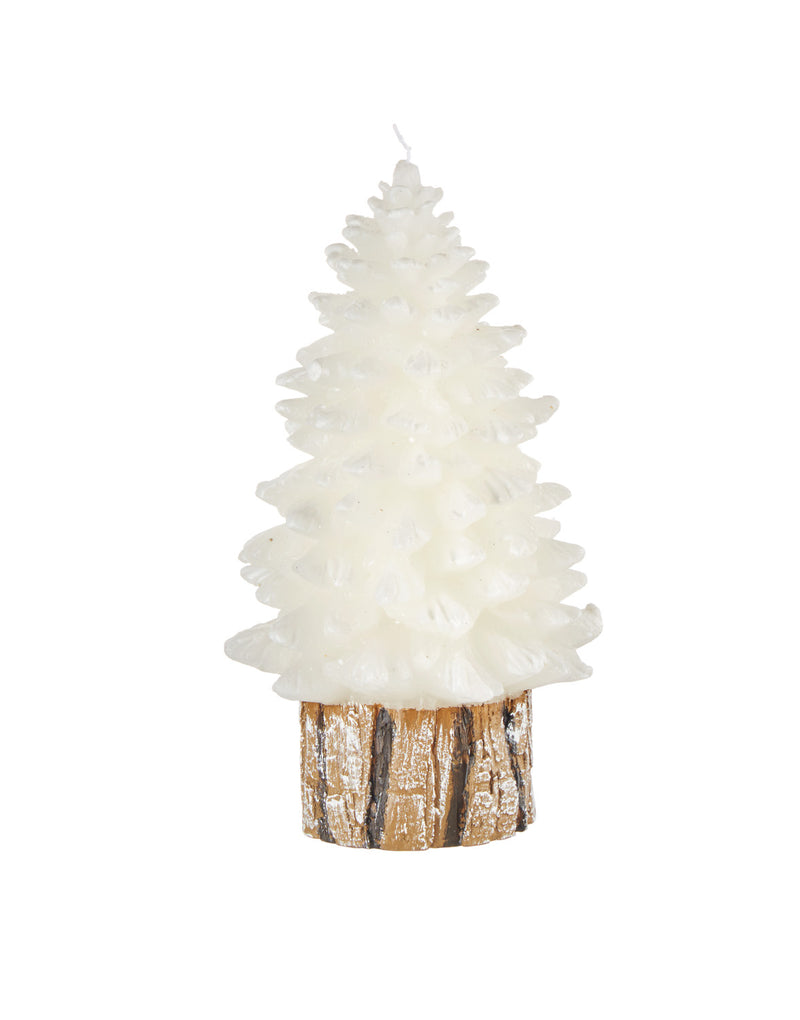 Candela Albero &