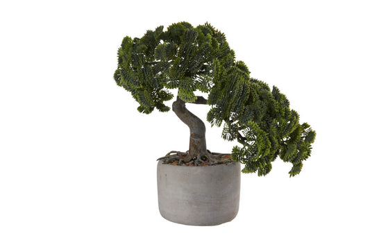 Bonsai Cipresso Deko - Asa Germany