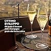 Set 6 Flute Champagne Quatrophil - Stölzle