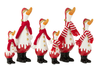 Anatra C/Sciarpa - Jolipa