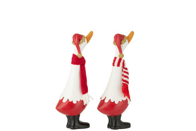 Anatra C/Sciarpa - Jolipa