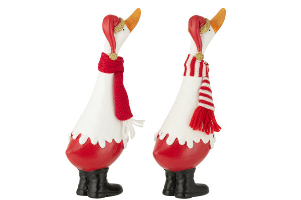 Anatra C/Sciarpa - Jolipa