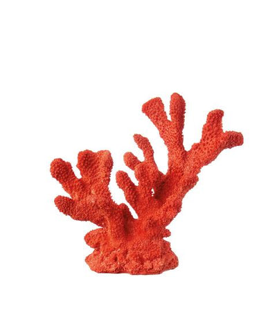 Corallo Rosso - L'Oca Nera