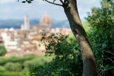 Fragranza d'Ambiente Giglio Di Firenze - Dr. Vranjes