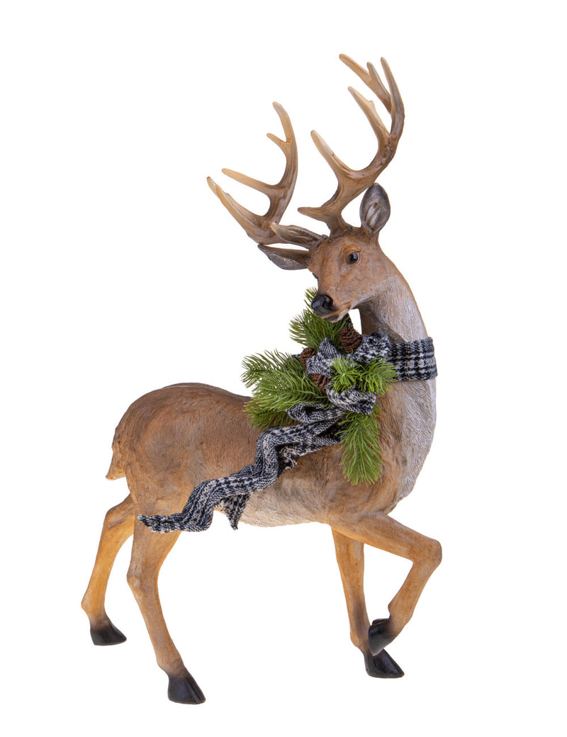 Renna C/Fiocco - Brandani